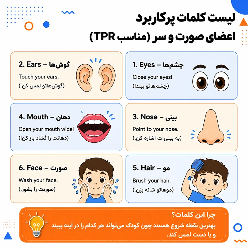 کلمات پرکاربرد صورت و سر
