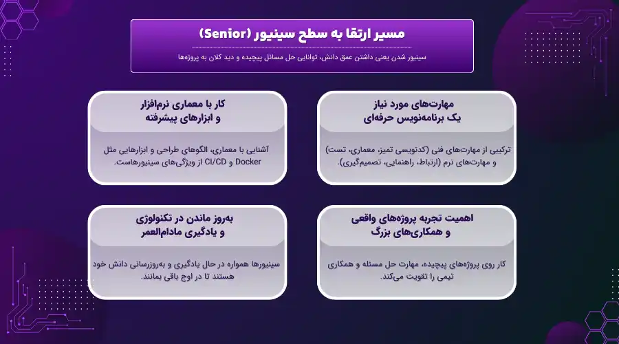 مسیر ارتقا به سطح سینیور در برنامه نویسی